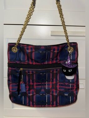 y2k Coach bag